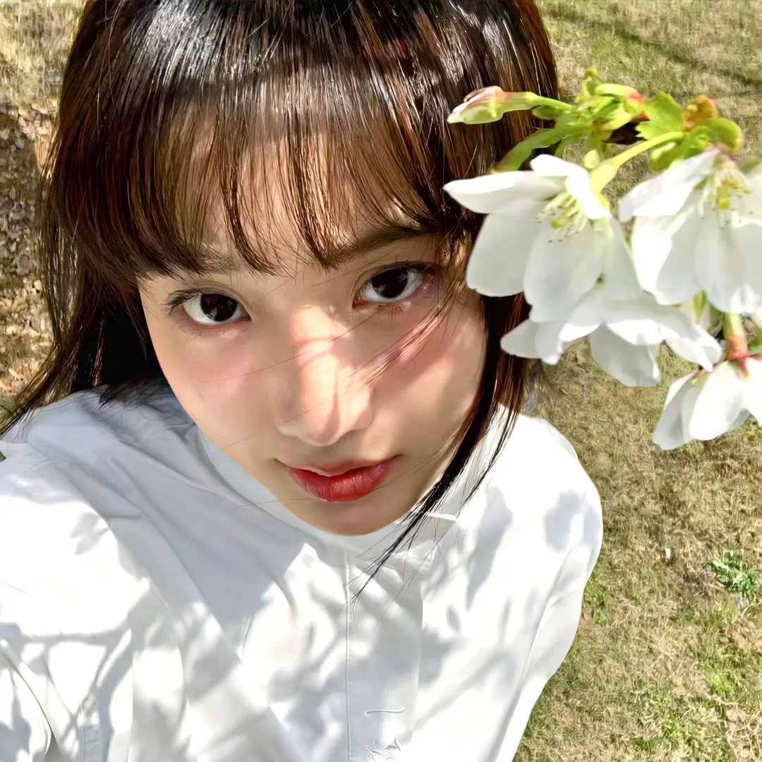 上海滩喋血枭雄 在线观看